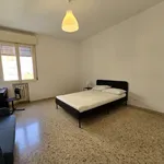 Rent 1 bedroom apartment of 110 m² in modena