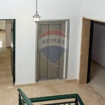 Affitto 3 camera appartamento di 95 m² in Catania