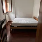 Rent 3 bedroom apartment of 40 m² in Rovigo