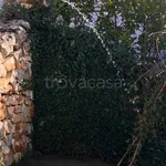 Rent 4 bedroom house of 345 m² in Cisternino