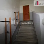 Rent 4 bedroom apartment of 120 m² in Dalovice