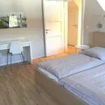 Rent 4 bedroom apartment of 100 m² in Nuremberg