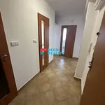 Rent 1 bedroom apartment in Ostrava