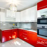 Rent 2 bedroom apartment of 58 m² in Prague