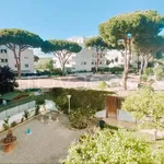 Rent 2 bedroom apartment of 46 m² in Santa Marinella