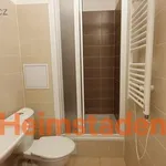 Rent 2 bedroom apartment of 39 m² in Havířov