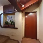 Rent 1 bedroom apartment in turin