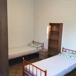 Rent a room in bologna