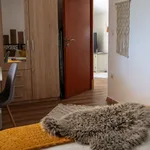 Najam 1 spavaće sobe kuća od 60 m² u Kijevo