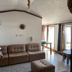 Rent 1 bedroom apartment in Porto