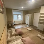 Pronajměte si 1 ložnic/e byt o rozloze 35 m² v Prague