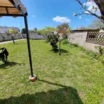 Rent 2 bedroom house of 55 m² in Nettuno