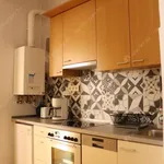 Rent 1 bedroom apartment of 45 m² in budapest