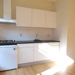 Rent 2 bedroom apartment of 55 m² in Centrum