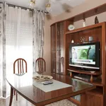 Rent 4 bedroom apartment in Seville