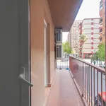 Alquilar 5 dormitorio apartamento en Valencia