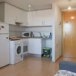 Rent a room in madrid