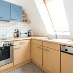 Rent 1 bedroom apartment of 65 m² in berlin