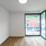 Pronajměte si 5 ložnic/e dům o rozloze 190 m² v Prague