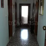 Rent 4 bedroom apartment of 80 m² in Vico del Gargano