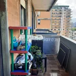 Rent 2 bedroom apartment of 50 m² in Palermo