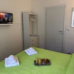 Rent 2 bedroom apartment of 100 m² in turin