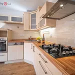 Rent 3 bedroom apartment of 60 m² in České Budějovice