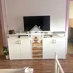 Rent 1 bedroom apartment of 30 m² in Debrecen