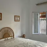 Rent 1 bedroom apartment in cordoba