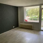 Miete 3 Schlafzimmer wohnung von 75 m² in Monheim