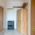 Rent 1 bedroom apartment in Praha - východ