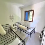 Rent 3 bedroom apartment of 60 m² in Anzio