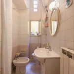 Rent 1 bedroom apartment in florence