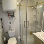 Appartement de 40 m² avec 2 chambre(s) en location à Samoreau