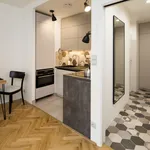 Rent 1 bedroom apartment of 30 m² in Prague