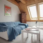 Rent 1 bedroom apartment of 59 m² in berlin