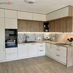 Rent 2 bedroom apartment of 53 m² in Plzeň