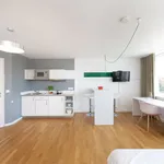 Rent 1 bedroom apartment of 31 m² in Nuremberg