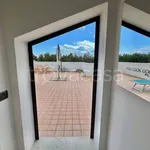 Rent 3 bedroom apartment of 110 m² in Riccione