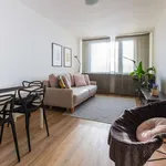 Studio of 55 m² in prague