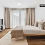 Rent 1 bedroom student apartment of 39 m² in Berlin