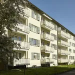 Rent 3 bedroom apartment of 69 m² in Grenchen