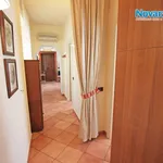 Rent 2 bedroom apartment of 50 m² in Novara