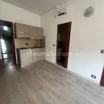 Rent 2 bedroom apartment of 40 m² in Turin