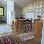 Rent 1 bedroom apartment of 50 m² in treviso