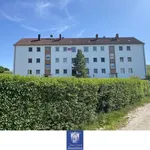 Rent 2 bedroom apartment of 49 m² in Roßwein