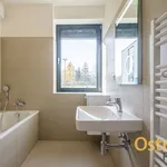 Rent 3 bedroom apartment of 72 m² in Frýdlant nad Ostravicí