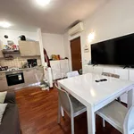 Rent 2 bedroom apartment of 50 m² in Rome