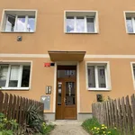 Rent 1 bedroom apartment of 38 m² in Prague