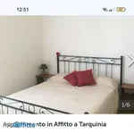 Appartamento arredato Lido di tarquinia